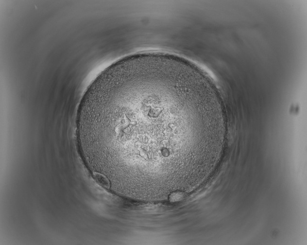 X0000090471279200707201347
