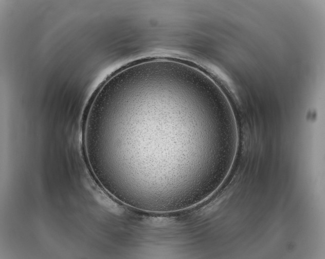 X0000090471280200707201347