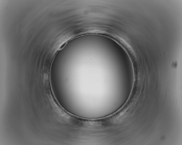 X0000090471281200707201347
