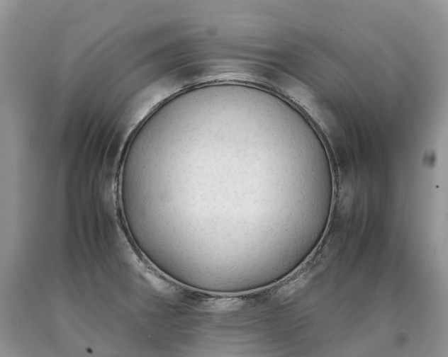 X0000090471282200707201347