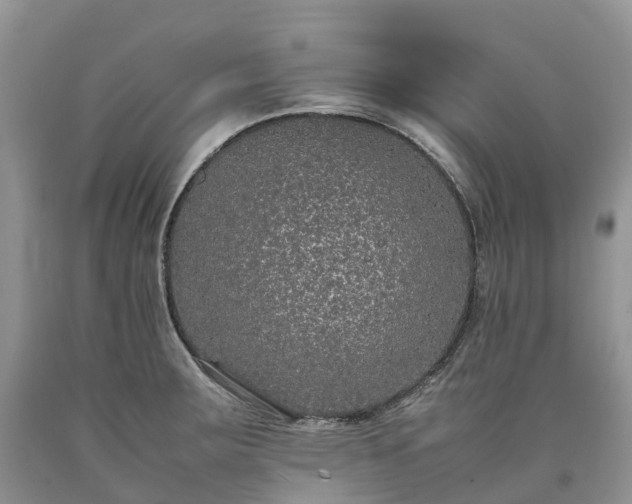 X0000090471283200707201347