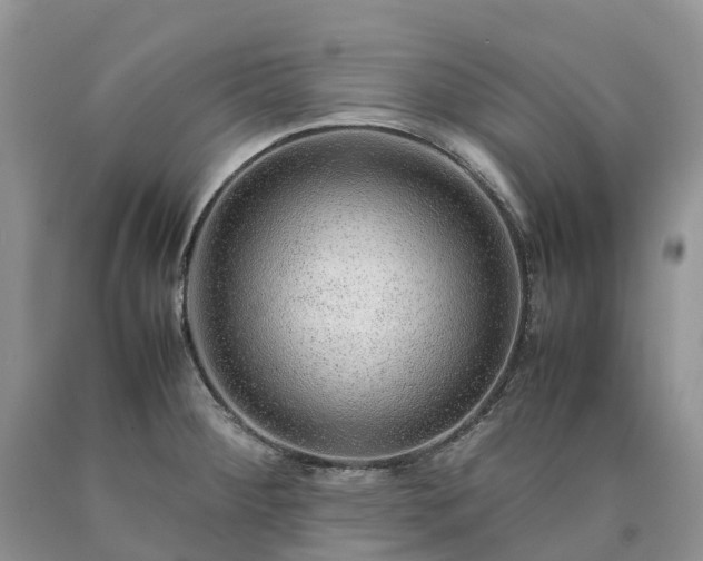 X0000090471284200707201347