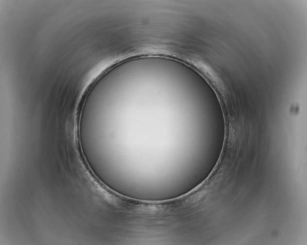 X0000090471286200707201347