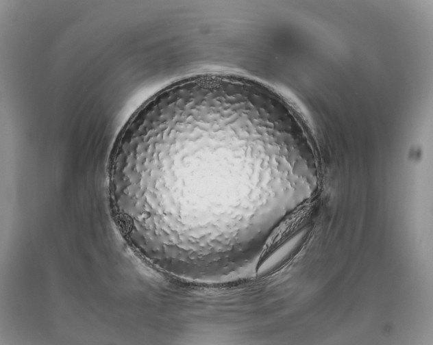 X0000090471287200707201347