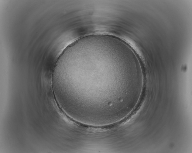 X0000090471289200707201347