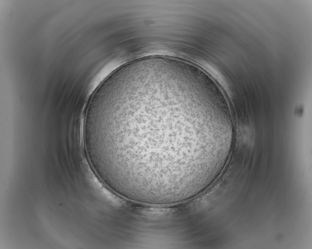 X0000090471290200707201347