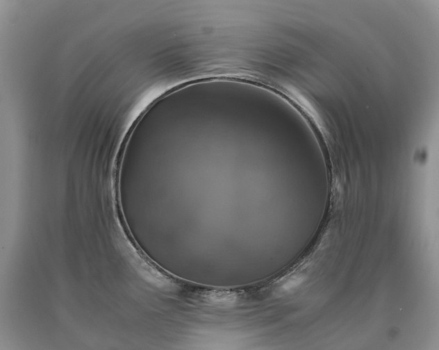 X0000090471291200707201347