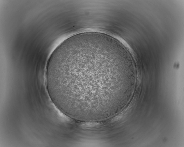 X0000090471294200707201347