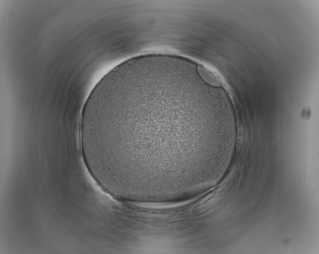 X0000090471295200707201347