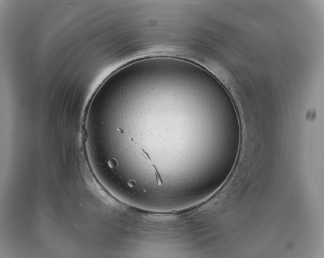 X0000090471296200707201347