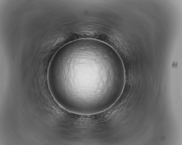 X0000090471297200707201346
