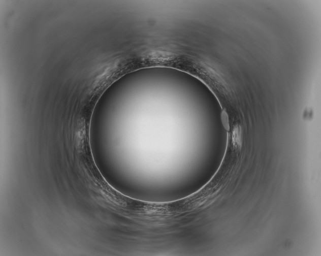 X0000090471299200707201346