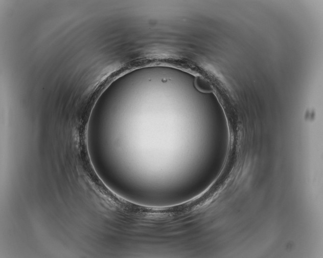 X0000090471305200707201346