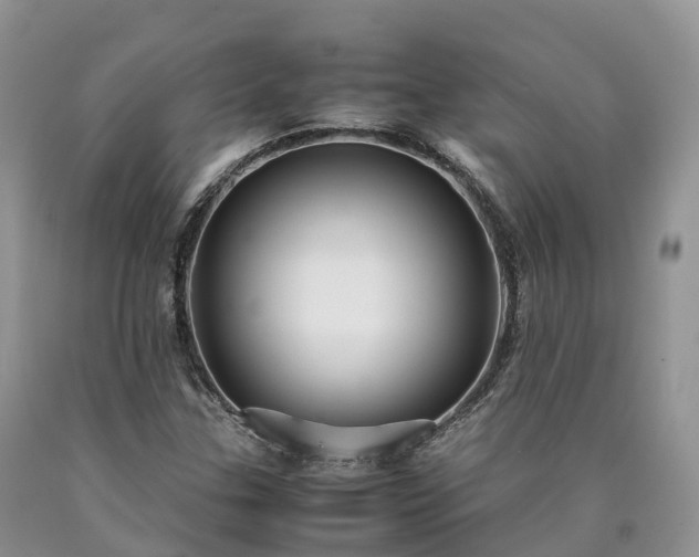 X0000090471307200707201346