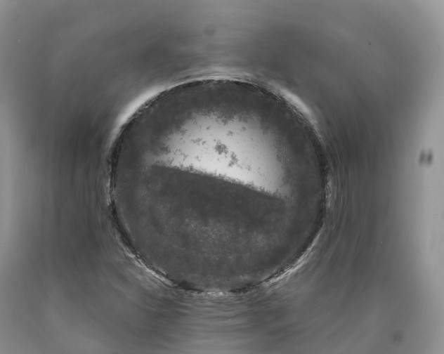 X0000090471310200707201346