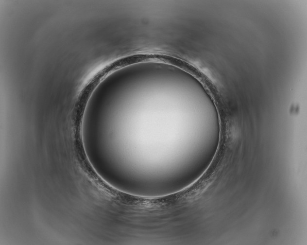 X0000090471311200707201346