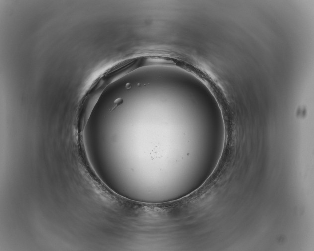 X0000090471312200707201346
