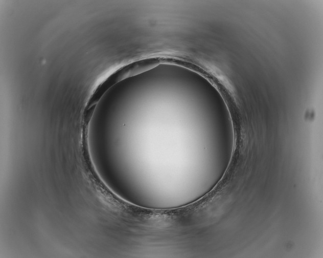 X0000090471316200707201346