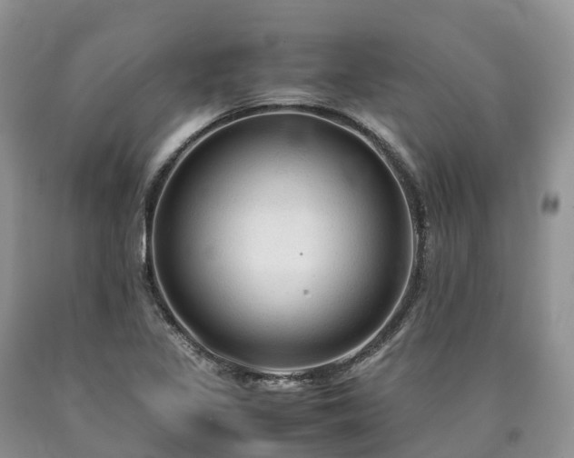 X0000090471317200707201347