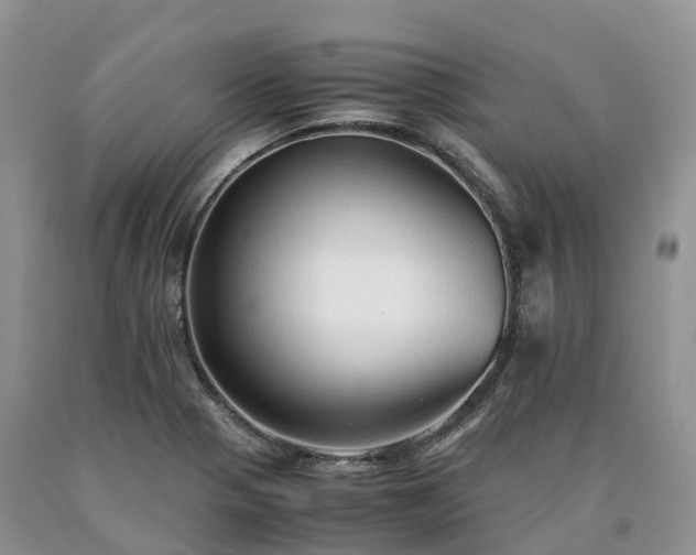 X0000090471321200707201347