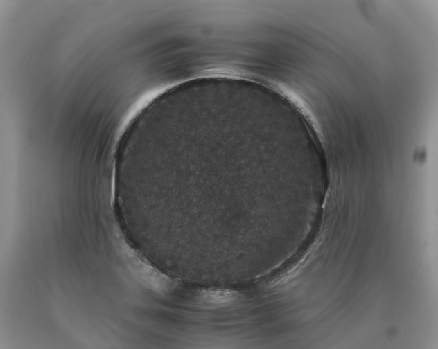 X0000090471323200707201347