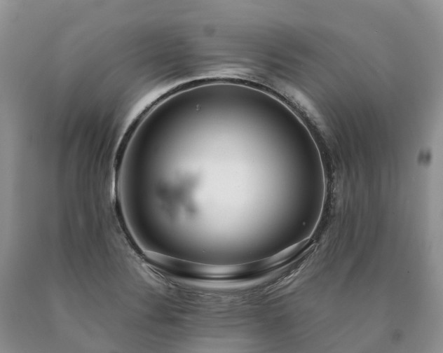 X0000090471324200707201347