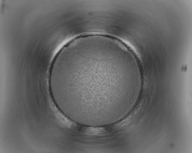 X0000090471325200707201347
