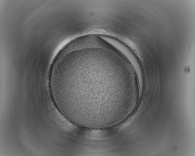 X0000090471326200707201347