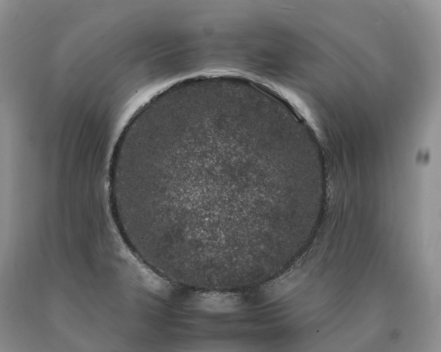 X0000090471327200707201347