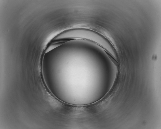 X0000090471328200707201347