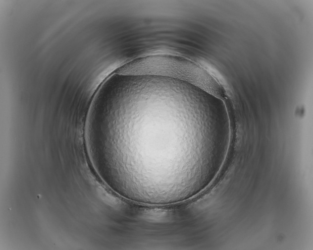 X0000090471329200707201347