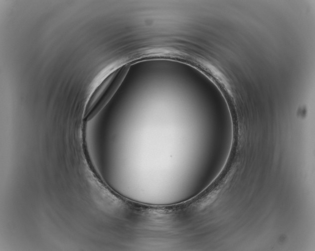 X0000090471330200707201347