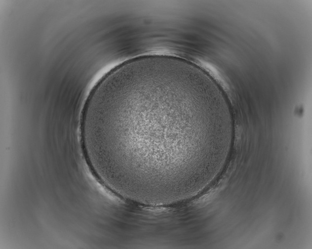 X0000090471331200707201347