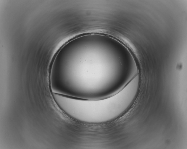 X0000090471332200707201347