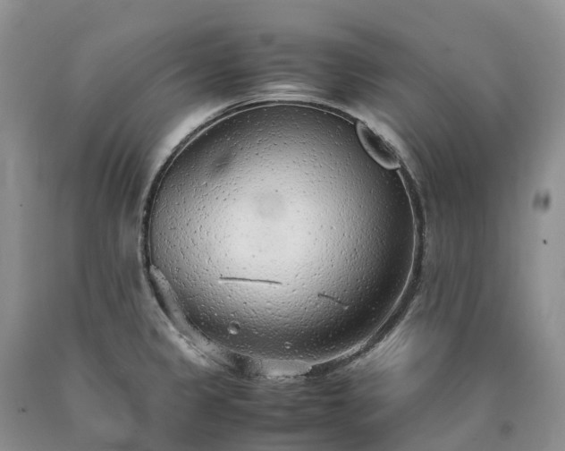X0000090471333200707201347