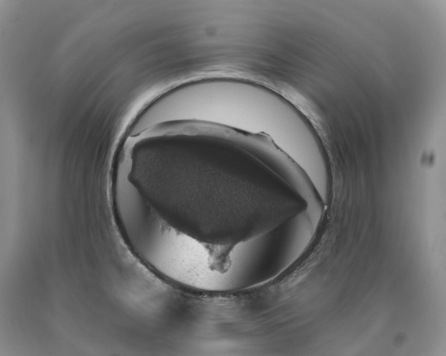 X0000090471334200707201347