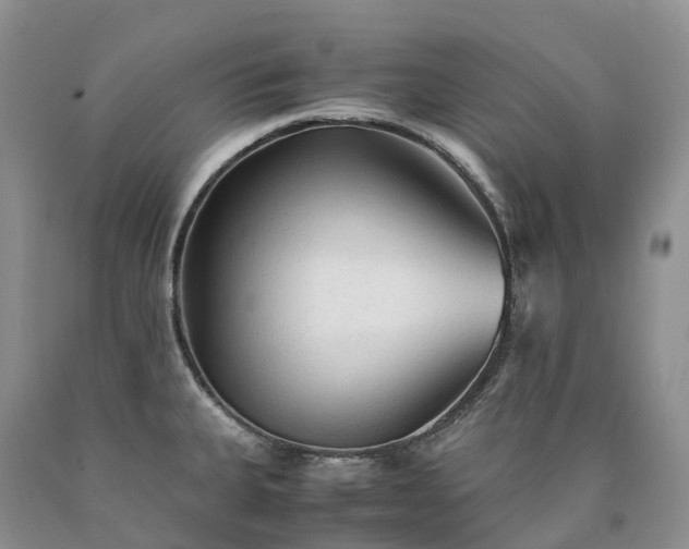X0000090471335200707201347