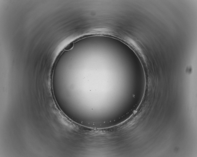 X0000090471336200707201347