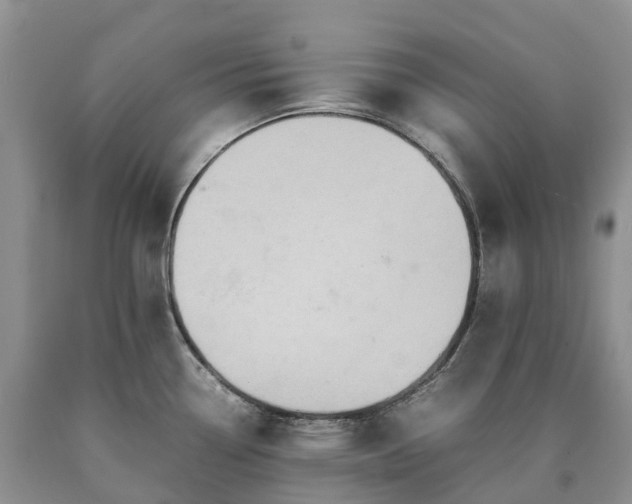 X0000090471338200707201347