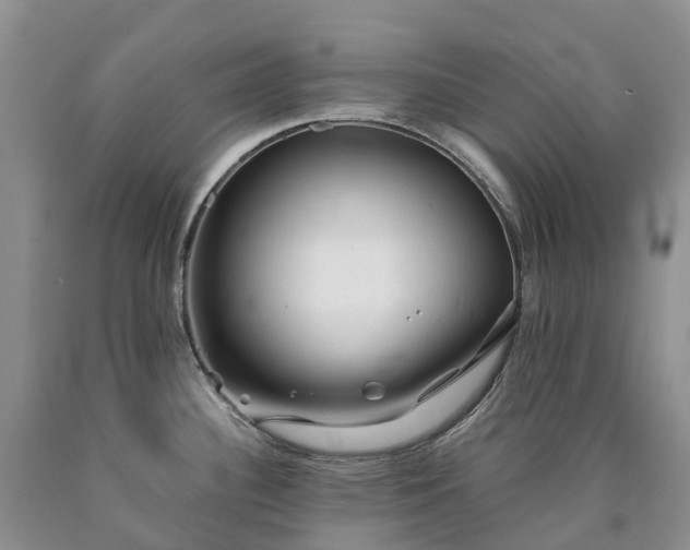 X0000090471340200707201347