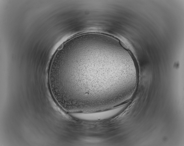 X0000090471341200707201347