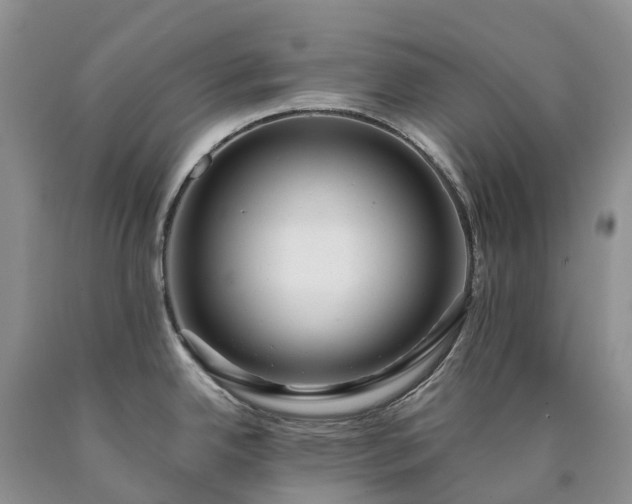 X0000090471342200707201347