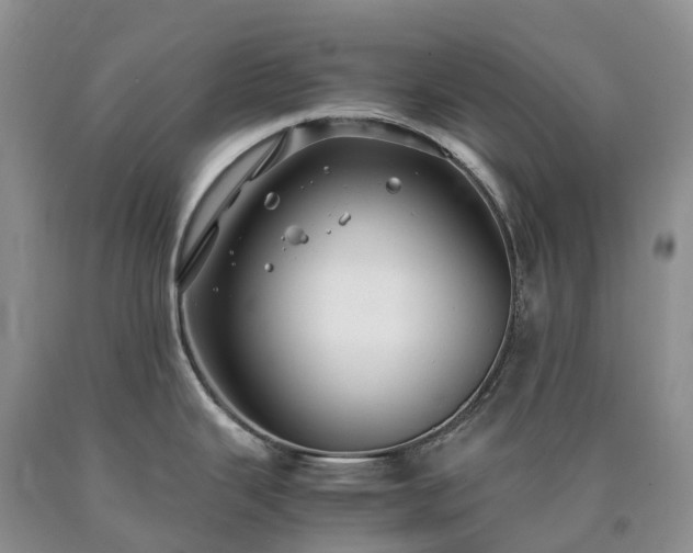 X0000090471343200707201347