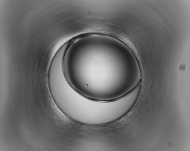 X0000090471344200707201347