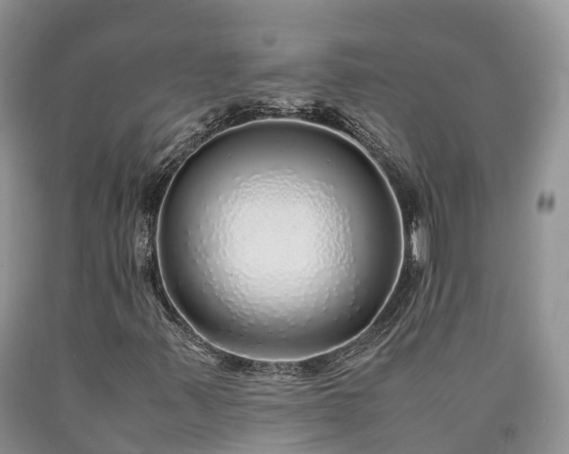 X0000090471347200707201346