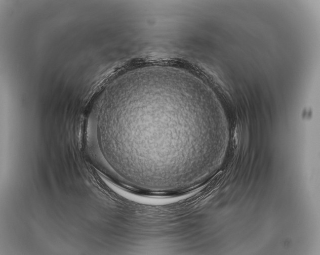 X0000090471348200707201346