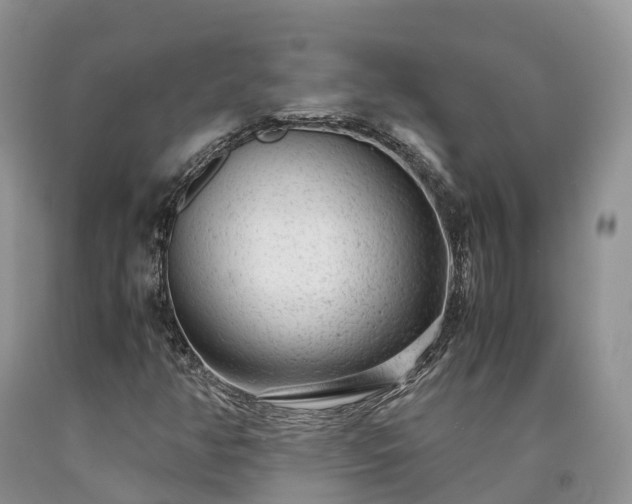 X0000090471350200707201346