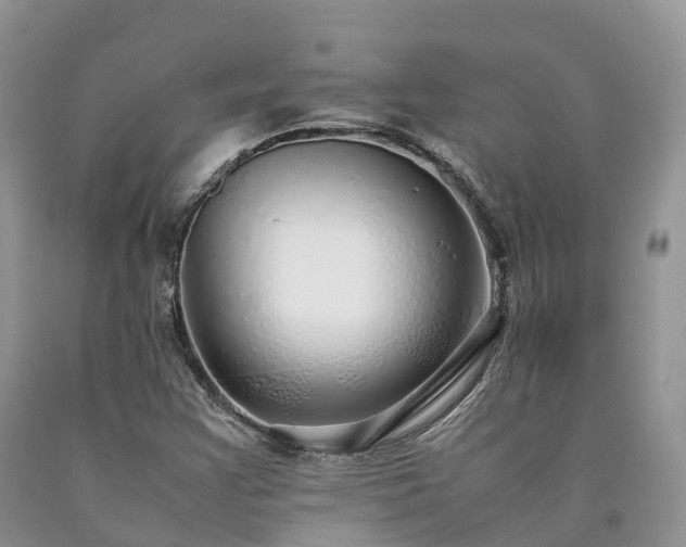 X0000090471355200707201346