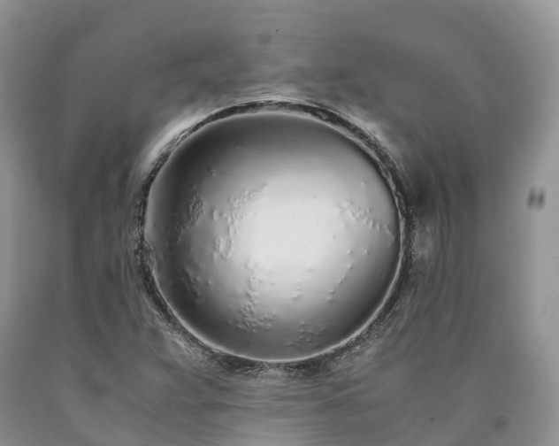 X0000090471359200707201346
