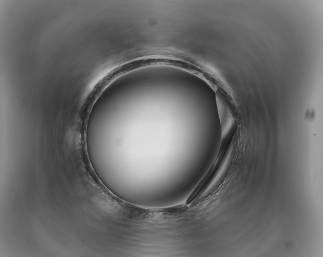 X0000090471360200707201346